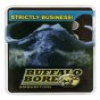 Buffalo Bore Personal Defense 380 ACP  P 100 Gr 1150 fps Hard Cast Flat Nose 20 Box