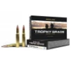 Nosler Trophy Grade  30-06 Springfield 180gr Partition 20 Rounds
