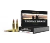 Nosler Trophy Grade 30 Nosler 180gr Accubond Ammo 20 Rounds - 60117