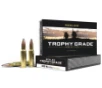 Nosler Trophy Grade  308 Winchester 165gr Partition Ammo 20 Rounds