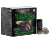 Kent Cartridge Fasteel 2 0 2 75  12 Gauge Ammo 1 1 16oz BB Shot 25 Shells - K122FS30-BB