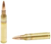 ARMSCOR Precision M193 5 56x45mm NATO 55gr
