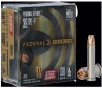 FEDERAL  38 SPL  P