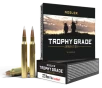 NOSLER  223 REM