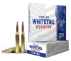 NOSLER  243 WIN