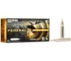 Federal P300WTT1 Premium 300 Win Mag 180 gr Trophy Bonded Tip 20 Per Box  10 Cs