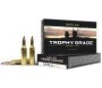 Nosler 60002 Trophy Grade 243 Win 85 gr Nosler Spitzer Partition 20 Per Box  10 Cs