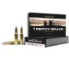 Nosler 60042 Trophy Grade 7mm-08 Rem 140 gr Nosler AccuBond 20 Per Box  10 Cs