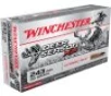 Winchester Ammo X243DS Deer Season XP 243 Win 95 gr Extreme Point 20 Per Box  10 Case