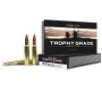 Nosler 46134 Trophy Grade 30-06 Springfield 180 gr Nosler AccuBond 20 Per Box  10 Cs