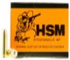 HSM Training 10mm Automatic 180gr  FMJ 50 Bx  20 Cs