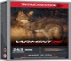 Winchester Varmint X 243 Winchester  65gr  Extreme Point  20rd Box