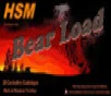 HSM Bear Load 450 Bushmaster 300gr  Jacketed Soft Point  20rd Box