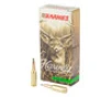 Barnes Harvest  6MM ARC  100gr  Sierra Tipped Gameking  20rd Box