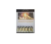 Paraklese  22 LR Firestorm Incendiary - 12 Rounds  Blister Pack  FREE SHIPPING OVER  199