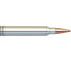 HORNADY 300 Win Mag 180Gr CX OTF
