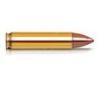 Hornady AMMO 450 BUSHMASTER 250GR FTX
