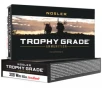 308 Winchester 165 Grain AccuBond Trophy Grade 20 Rounds