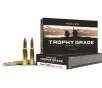 Nosler Trophy Grade 7x57mm Mauser  7mm Mauser  Ammo 140 Grain Nosler AccuBond Bonded Polymer Tip Box of 20