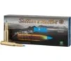 Sellier   Bellot eXergy Blue Rifle Ammunition  300 Win Mag 180gr 2753 fps 20 ct