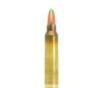 Lapua Rifle Ammunition  300 Win Mag 170gr Naturalis Solid 2959 fps 10 ct