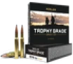 Nosler Trophy Grade  Nos 60053 Trophy 308win 165 Pt 20 10 - FAST FLAT RATE SHIPPING 