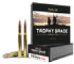Nosler Trophy Grade  Nos 60057 Trophy 3006 165 Ab 20 10 - FAST FLAT RATE SHIPPING 
