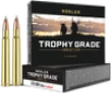 Nosler Trophy Grade  Nos 60070 Trophy 375hh 300 Ab 20 10 - FAST FLAT RATE SHIPPING 
