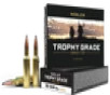 Nosler Trophy Grade  Nos 60062 Trophy 300sau 180 Pt 20 10 - FAST FLAT RATE SHIPPING 