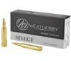 Wby Ammo 270wby 130gr Int 500 - FAST FLAT RATE SHIPPING 