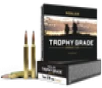 Nosler Trophy Grade  Nos 60046 Trophy 7mmstw 140 Pt 20 10 - FAST FLAT RATE SHIPPING 