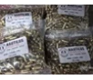 NAUTILUS 9mm 115gr  250rnds  - FAST FLAT RATE SHIPPING 