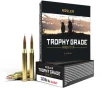 Nosler Trophy Grade  243 Winchester 90 Grain AccuBond Brass Cased Centerfire Rifle Ammo 20 Rounds 48263 - FREE SHIPPING