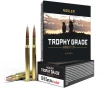 Nosler Trophy Grade  30-06 Springfield 180 Grain AccuBond Brass Cased Centerfire Rifle Ammo 20 Rounds 46134