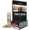 Nosler Trophy Grade  308 Winchester 168 Grain AccuBond Long Range Brass Cased Centerfire Rifle Ammo 20 Rounds 60101