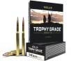 Nosler  30-06 Springfield Partition 165 grain Brass Cased 20 Rounds 61018