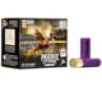 Federal Premium Prairie Storm 16 Gauge 1 1 8oz Prairie Storm FS Lead Centerfire Shotgun Ammo 5 Shot 25 Rounds PFX164FS