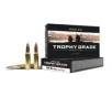 Nosler Trophy Grade  308 Winchester 165 Grain AccuBond Brass Cased Centerfire Rifle Ammo 200 Rounds 60049