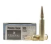 Federal 300 Savage Power-Shok 300B 180 Grain Soft Point 20 rounds