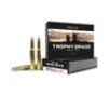 Nosler 30-06 Ammunition Trophy Grade NOS60057 165 Grain Accubond 20 Rounds