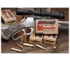 Hornady 45-70 Gov t 250gr MonoFlex LeverEvolution Ammunition 20rds - 82741