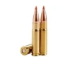 Wilson Combat  300 AAC Blackout 110 gr PTFB 20rds