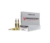 Nosler Varmageddon  243 Winchester 70 gr PT 20rds