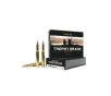 Nosler Trophy Grade  30-06 Springfield 180 gr Partition 20rds