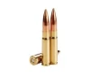 Wilson Combat  300 AAC Blackout 220 gr BTHP 20rds
