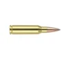 Nosler Trophy Grade  260 Remington 129 gr PT 20rds