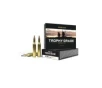 Nosler Trophy Grade  243 Winchester 100 gr JSP 20rds