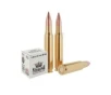Sterling 5 56x45mm 55 gr FMJ 30rds