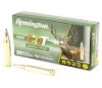 Remington Premier Cuts Copper  300 Win Mag 180gr 20CT -  20