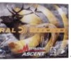Federal Terminal Ascent  308 Win 175 gr 20ct -  20